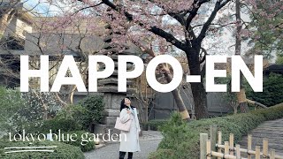 Life in Japan | tokyo blue garden winter festival ❄️ happo-en (ep 20)