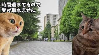 【実話】卒論提出に間に合わなかった大学生の末路【 #猫マニ 】【 #猫ミーム 】