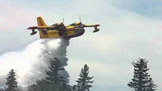 Plane - Water Bomber CL-215 nearly crashes by clipping trees trying to put out fire