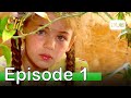 Elif Episode 1 - Urdu Dubbed | Turkish Drama