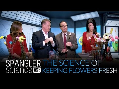 Science of Keeping Your Flowers Fresh Science of Keeping Your Flowers Fresh