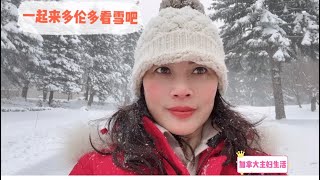 多伦多大雪后的众生百态