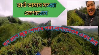 এখন অতি মনোমোহা ঠাই।। নাগালেণ্ড।।Wonderful DZokou Valley trekking/