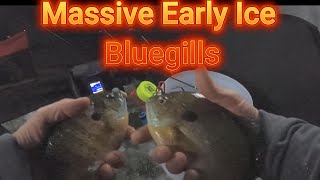 Mid Michigan Early Ice Massive Bluegills (underwater footage)