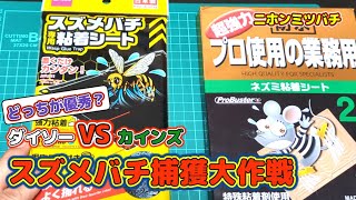 ニホンミツバチを守るために、粘着シートを使って、秋のオオスズメバチ捕獲大作戦をはじめます。