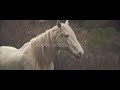 Hold On - Wild Horse Music Video
