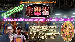 சோட்டானிக்கர பகவதி கோவில் | Chottanikara Bhagavathy Kovil | Kerala | kovilukku polama |