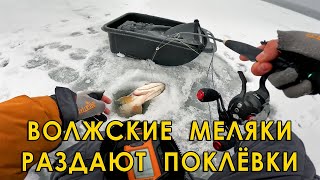 Глухозимье, но мы ловим рыбу! Зимняя рыбалка на вибы.