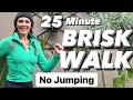 25 Minute Brisk Walk | NO JUMPING | Michelle Wilson Workouts