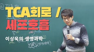 TCA회로/이상욱의 생명과학/세포호흡