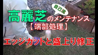 高麗芝のメンテナンス　端部処理　エッジカットと盛上り修正【芝生】