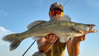 SPINNING SUL FIUME PO - Siluri, Aspi e Perca Estivi ☀️🎣