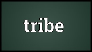 Tribe Meaning