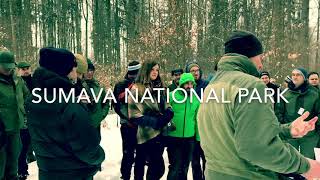 Exchange on forest disturbances