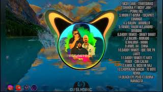 2022 Reggaeton Mix|DJ Slicric|Ft. KAROL G  Nicki Minaj|Wisin|J Balvin|Daddy Yankee Katy Perry