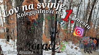 Lov na svinje - 🌿Kolegijalnost na 1. mestu @lovnadruzina 🌿