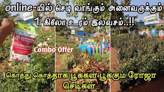 1 கிலோ உரம் இலவசம்.. ரோஜா செடி வாங்கும் அனைவருக்கும்.. a1 Nursery Garden plants online sale