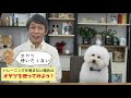 犬のしつけとおやつについて