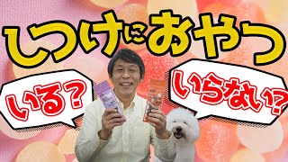 犬のしつけとおやつについて