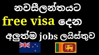 නවසීලන්තයේ free visa වලින් යන්න පුලුවන් අලුත්ම jobs | newzealand free visa jobs 2023