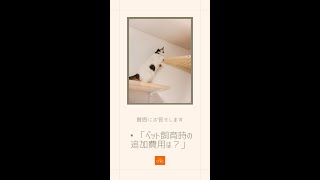 🐕「ペット飼育時の追加費用は？」【質問にお答えします_196】#ペット可 #ペットシェアハウス #ペット可賃貸 #離婚ペット #別居ペット #同棲解消ペット #オンコ株式会社 #空き家活用請負人