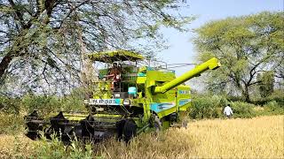 Harwester Combine HR 985 Machine Working Rice Cutting in India !! Mini Harwest Combine Machine