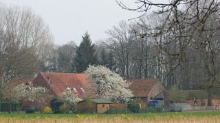 Neumehringen Salzbergen