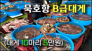 (동해) 1마리 5천원?!? 커피 한 잔보다 저렴한 '묵호항 B급대게' 싸고 맛있게 먹는 방법