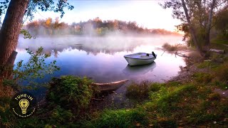 ASCENSION SYMPTOM RELIEF | Powerful Sound Healing Session For Rapid Relief of Ascension Symptoms