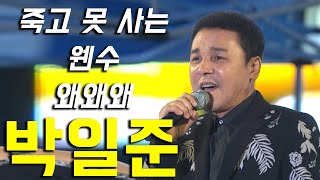 박일준 - 왜왜왜/ 죽고 못사는 웬수