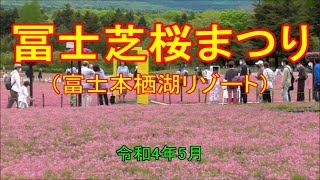 [ 旅(観光地・施設) ] 冨士芝桜まつり