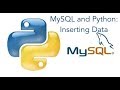 MySQL and Python: Inserting Data