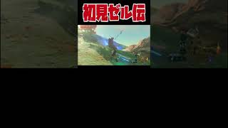 【ゼルダの伝説 ブレス オブ ザ ワイルド】トカゲっぽい神獣攻略するぞ！！【初見プレイ】【#切り抜き】【#shorts】18