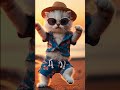 cats dancing on the beach🥰🥰 #shorts #cat #catlover