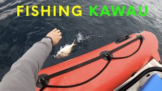 Fishing  Kawau Island for snapper and kingfish