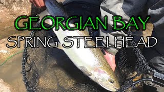 GEORGIAN BAY SPRING STEELHEAD - MAY 7, 2022