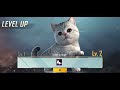 pubg kitten pet in just 600 uc new kitten buddy in pubg mobile cat comparison