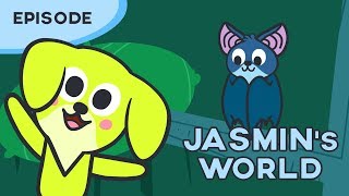 Olga the Bat 🦇💥 | Discover the animals | Jasmin's World | Cartoon for kids