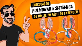 Circulação pulmonar e sistêmica de um jeito fácil de aprender - Anatomia Humana