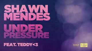 Under Pressure by Shawn Mendes and Teddy Geiger - Cover