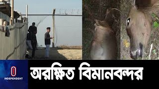 উড়োজাহাজের ধাক্কায় দুটি গরু মৃত্যুর পরও টনক নড়েনি কর্তৃপক্ষের || Cox Bazar Barishal Airport