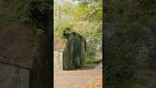 【瀬戸内海国立公園】歴史と自然の息吹を感じる