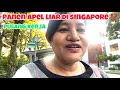 PANEN APEL LIAR Di SINGAPORE ⁉️DI PINGGIR JALAN⁉️