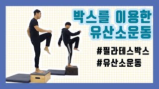 🏃집에서도 실컷 땀 빼자! 👍박스를 이용한 유산소운동!