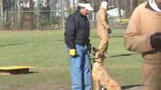 Police K9 dog training - Fred Hassen