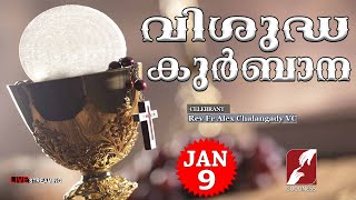 HOLY MASS LIVE @ 6 AM, 9 JAN 2025|Rev Fr Alex Chalangady VC|MALAYALAM QURBANA|TODAY MASS|GOODNESS TV