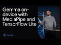 Demo: Gemma on-device with MediaPipe and TensorFlow Lite
