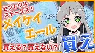 【セントウルS】メイケイエールの買える時と買ってはいけない時！【つべこべ言わず買え】