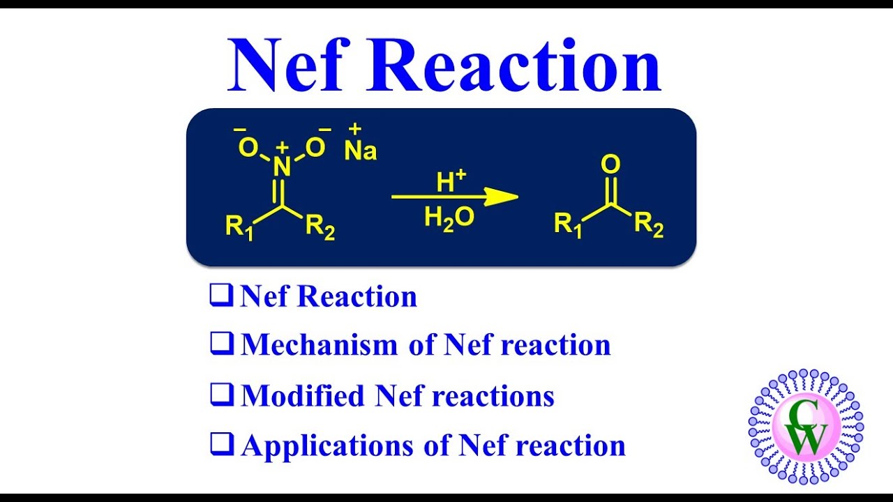 Nef Reaction Youtube