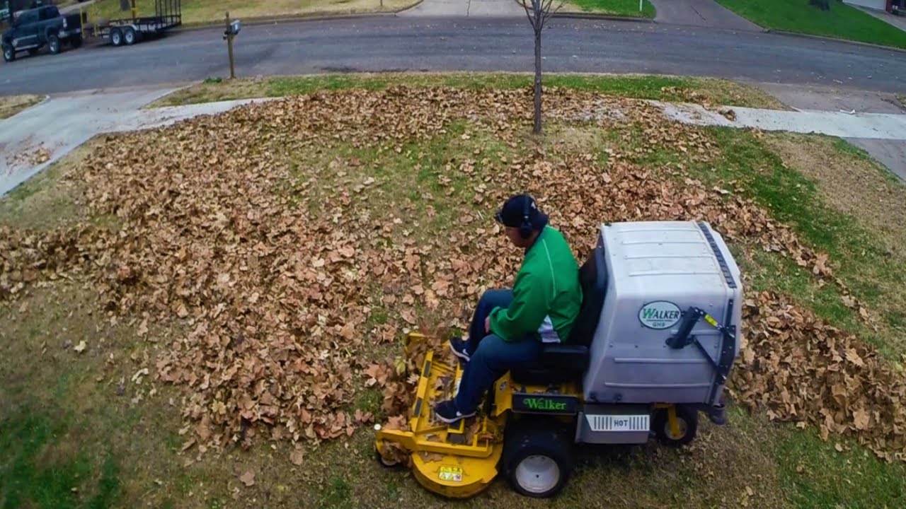 Leaf Removal Fall Cleanup Lawn Care Vlog # 88 - YouTube